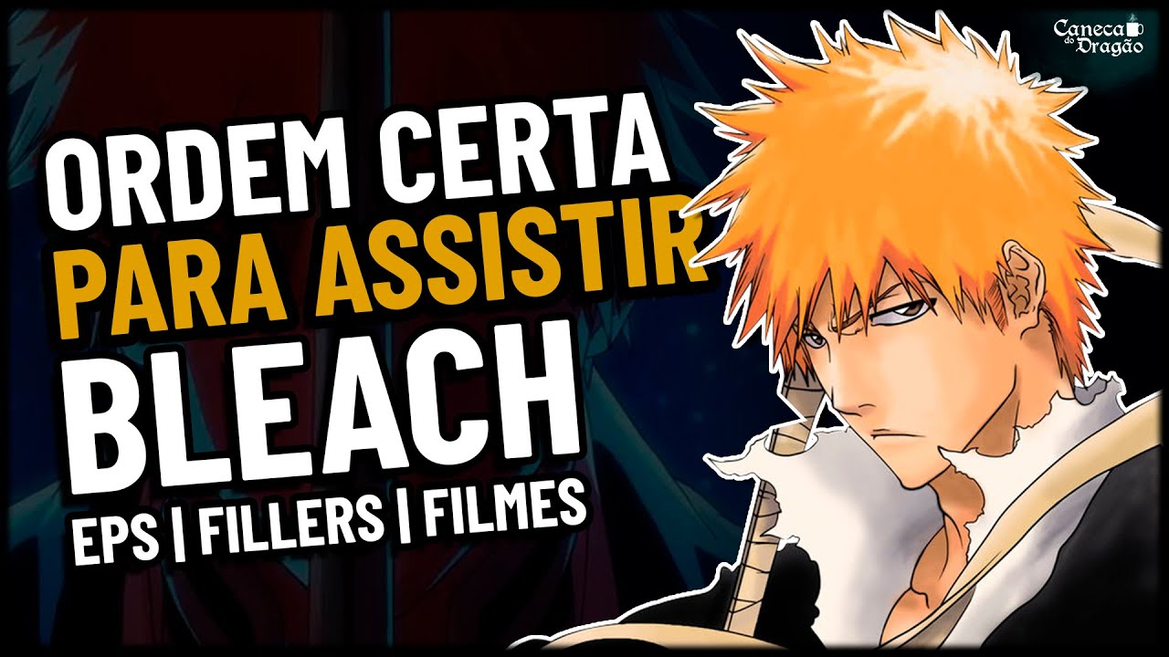 COMO ASSISTIR ONE PIECE SEM FILLERS 